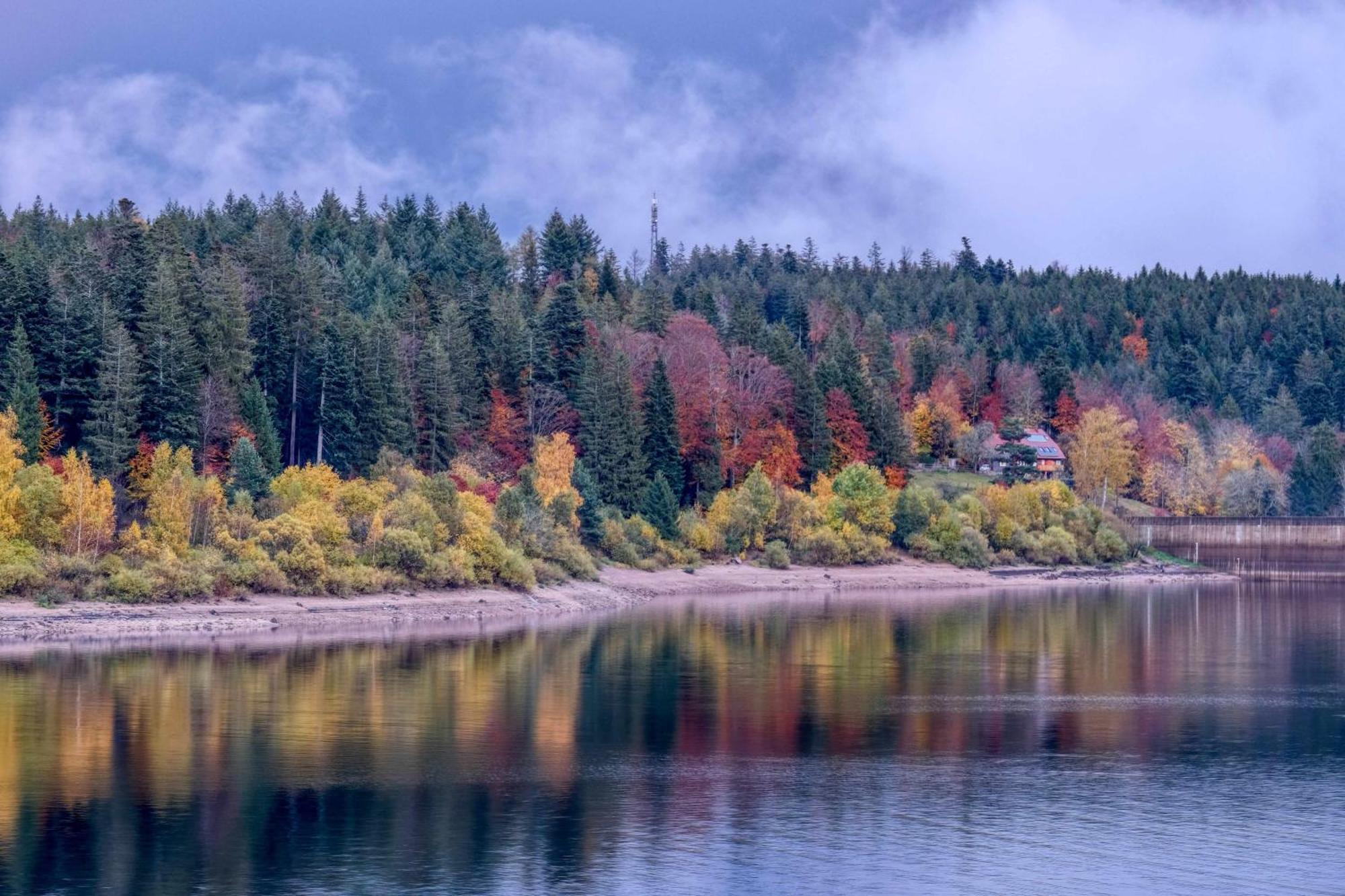 Zum Alten Waerterhaus Forbach Εξωτερικό φωτογραφία
